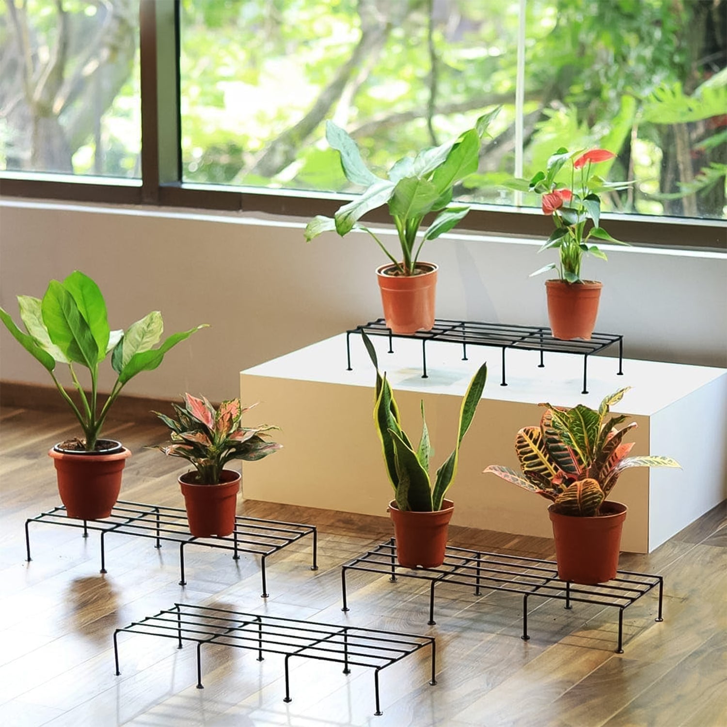 LuxeGrow Plant Stand LuxeGrow Plant Stand